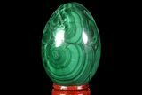 Stunning Polished Malachite Egg - Congo #89649-1